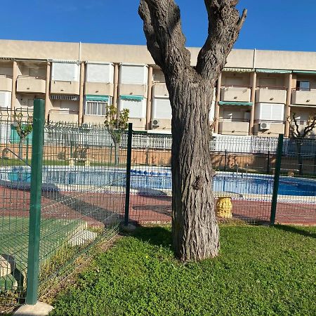 Apartamento Mil Palmeras Pilar de la Horadada Exteriér fotografie