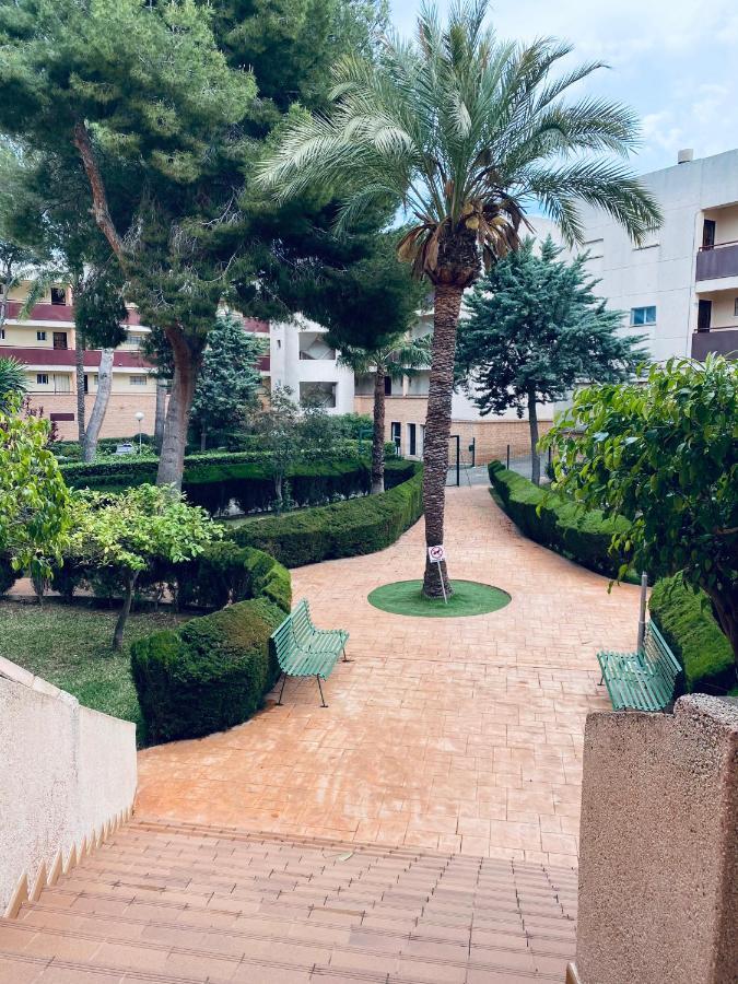 Apartamento Mil Palmeras Pilar de la Horadada Exteriér fotografie